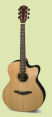 Avalon-AS200CE-Acoustic-Guitar