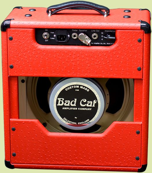 HOME  Bad Cat Amplifiers